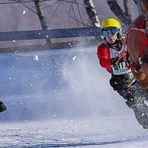 Image illustration Le ski joëring équestre revient à la mode